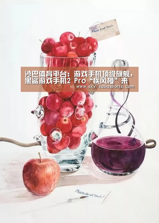 沙巴体育app
