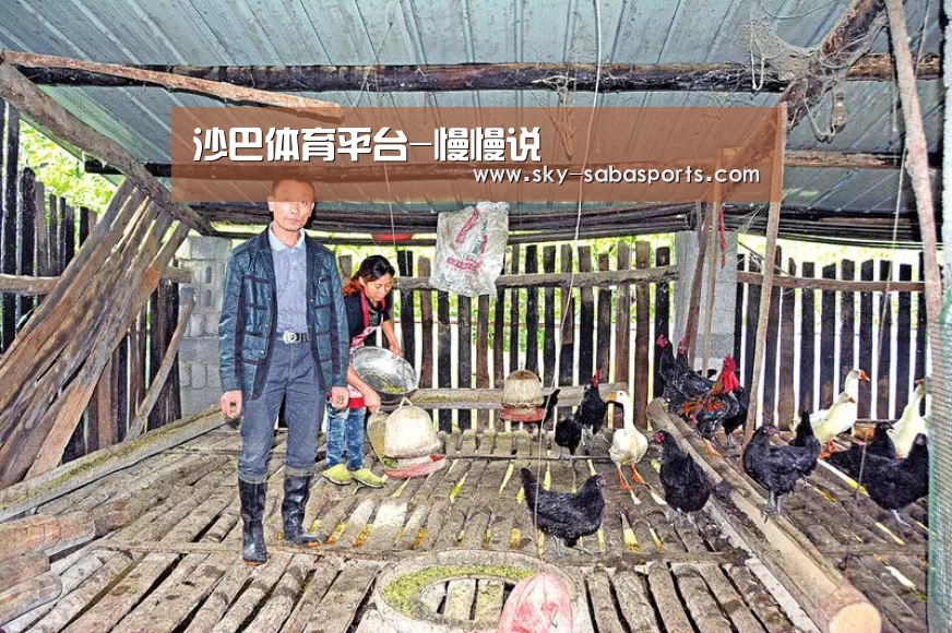 沙巴体育app
