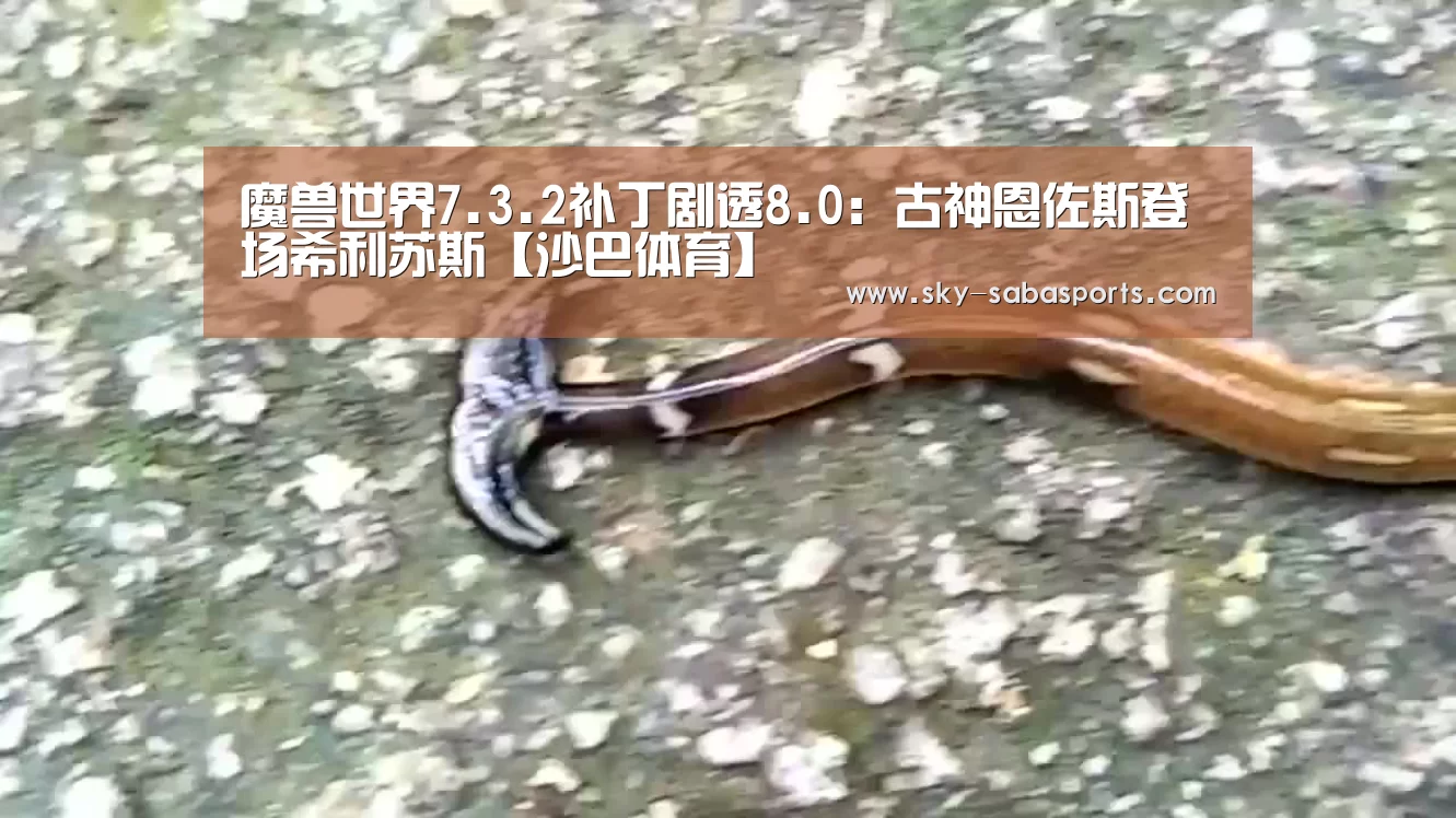沙巴体育